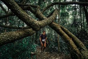 BIB: 
                            <button type="button" onclick="openModal(25664392)" class="btn btn-primary btn-sm float-right btn-popup" data-toggle="modal" data-target=".modal-high-quality">
                        <i class="fas fa-shopping-cart"></i> Add to Cart
                    </button>
                                            <button type="button" onclick="isThisMe(25664392, true)" class="btn btn-success btn-sm float-right btn-popup btn-isme hidden" data-toggle="tooltip" data-placement="bottom" title="นี่คือรูปของคุณใช่ไหม คลิกที่นี่เพื่อเอาเข้าอัลบั้ม">
                        <i class="fas fa-plus"></i> Add to album
                    </button>
                    <button type="button" onclick="isThisMe(25664392, false)" class="btn btn-warning btn-sm float-right btn-popup btn-isnotme hidden">
                        <i class="fas fa-ban"></i> Remove from album
                    </button>